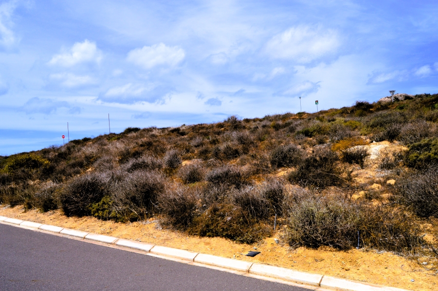 0 Bedroom Property for Sale in Steenbergs Cove Western Cape